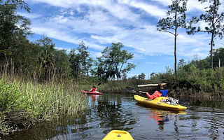 What are the top outdoor activities in Savannah, GA?